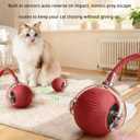 Interactive Cat Toy Rolling Ball with Tail, Motion Activated Indoor Cats | USB Rechargeable, Bird Chirp & 3 Speed Modes, Durable Silicone, Automatic Self-Moving, Relieve Boredom & Stimulate Curiosity