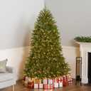 National Tree Company 7 ft Pre-Lit Dunhill Fir Full Artificial Christmas Tree, 700 Warm White LED Lights, 2,144 Tips, Includes Stand, Green