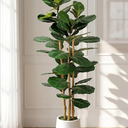 Artificial Fiddle Leaf Fig Tree in Modern White Planter, 5ft | Large Fake Tree with 3 Sturdy Trunks, Fake Plants with Moss, Lifelike Tall Artificial Plants Indoor for Office Home Decor