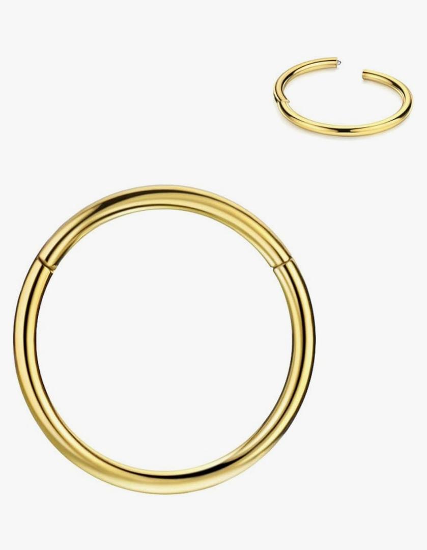 FANSING Men Women 316L Surgical Steel Hinged Nose Rings Hoop for Nostril Septum Cartilage Helix Daith Tragus Rook Conch Lip Ear Lobe Piercings