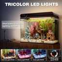 Coospider 20 Gallon Glass Fish Tank, Aquarium Starter Kit, Simple Self-Cleaning Aquarium with 3-Color LED Lights, with Quiet Filter Pump, with Temperature Monitoring for Fish, Shrimp, Kids Gift Ideas