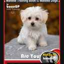 Maltese, Maltese Training Book for Maltese Dogs By BoneUP DOG Training, Are You Ready to Bone Up? Easy Training * Fast Results, Maltese Training
