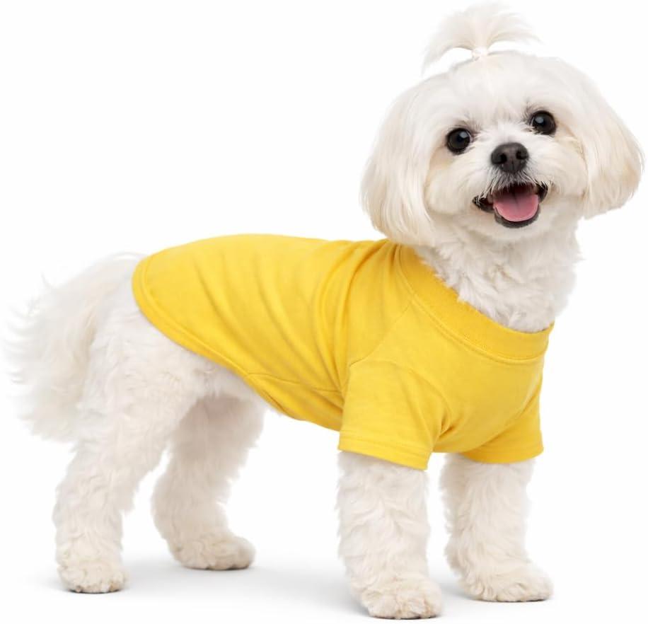 Lovelonglong Pet Clothing Dog Costumes Basic Blank T-Shirt Tee Shirts for Small Dogs Yellow XS