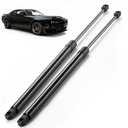 ARANA Trunk Lid Struts Shocks for 2008-2020 Dodge Challenger W/O Spoiler, 04589645AB Trunk Replacement Parts Hydraulic Lift Support Fits Dodge Challenger Base/RT/SE/SRT/SXT, 2 Pcs