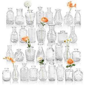 Der Rose Glass Bud Vases Set of 32 Small Clear Flower Vases for Rustic Wedding Centerpieces Table Decorations and Home Office Decor(Clear). Missing One