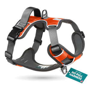 Embark Adventure Small Dog Harness – No-Pull, Reflective Trim, Military-Grade Nylon, Front Clip with Gel-Lined Handle, Small