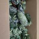 Giegxin 600 Pcs 3 Kinds Mixed Eucalyptus Leaves Stems Bulk Artificial Silver Dollar Leaves Picks Dried Eucalyptus Bundle Faux Spray for Wedding Vase Bouquet Floral Arrangement , Green 