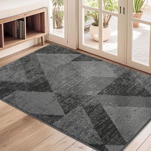 COSY HOMEER Door Mat Entrance, 32"x48" Non-Slip Absorbent Doormat for Front Door, Low Profile Dirt Trapper Entryway Mat, Washable Rugs for Muddy Paws & High Traffic Areas, Gray (Grey)