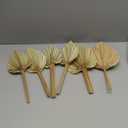 RUENXG Dried Palm Leaves 6 Pcs Naturally Dried Palm Spears Bouquet for Boho Wedding, Tropical Home Decor, Table Arrangements  Eco-Friendly Handcrafted Palm Fans (13.8 2 Sizes)