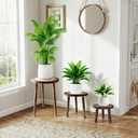 3-Pack Wood Plant Stands Indoor, Mid-Century Modern Plant Stool for 6-12 Inch Pots, Tall Single Corner Wooden Planter Table for Multiple Plants, Living Room, Balcony, and Office