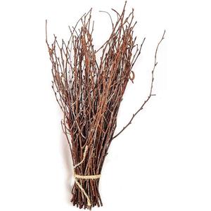 Green Floral Crafts - 3-4 Foot Natural Birch Branches Perfect for Floor Vases, Centerpieces, & Arrangements (3-4 Feet | 10-12 Stems)