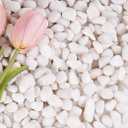 2.2 lbs White Gravel, 1/2 Inch Garden Pebbles
Decorative Rocks for Potted Plants,Small Rocks for Plants, Vases, Cactus Potted Plants, Fish Tanks