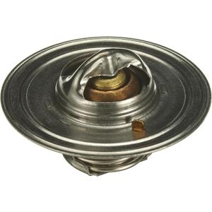 Gates Thermostat