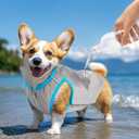 2 x ALL FOR PAWS Cooling Vest Dog Cooling Shirts Breathable Instant Cooling Dogs Vest Lightweight for Summer Dog Clothes (S)