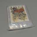 Nuanchu Pressed Flowers Bulk Dried Flower for Crafts, Dried Wildflowers Leave Natural with Tweezer for Resin Mold Scrapbooking Nail Soap Making DIY(Retro Style,Warm Color)