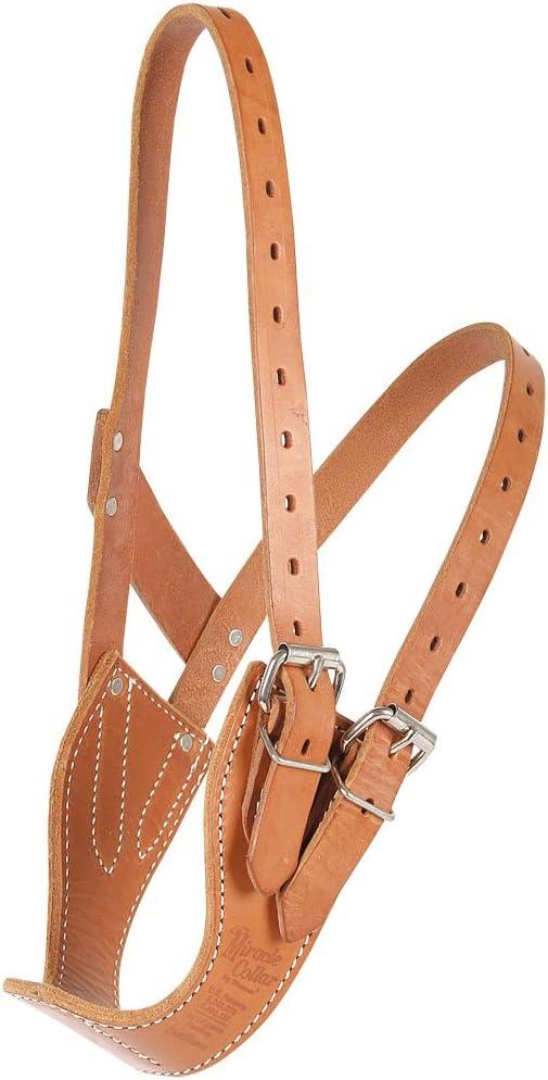 Weaver Leather Miracle Collar in Display Box (Small, Russet)