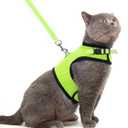 PUPTECK Soft Mesh Cat Vest Harness and Leash Set Puppy Padded Pet Harnesses Escape Proof for Cats Small Dogs Rabbits Bunny, Fluorescent Green XL (XL(NECK 10.5"-13", CHEST 14"-17", 10-17 lbs))