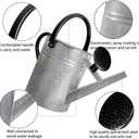 1 Gallon Metal Watering Can with Removable Spout, Nice Galvanized Steel Water Can for Indoor and Outdoor Plants (House Plants)