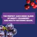 Ocean Spray Cran-Grape Cranberry Grape Juice Drinks, 10 Fl Oz Bottles, 6 Count (EXP 11/21/26)