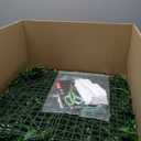 SEMONONIA Artificial Grass Wall Panels 20"x20"(6pcs), Boxwood Panels Grass Wall Backdrop, UV Protected Privacy Fence Screen for Outdoor Indoor Garden Fence Backyard Decor