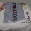 Bambo Nature Premium Eco-Friendly Baby Diapers, Size 2 (7-13 Lbs), 32 Count