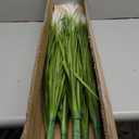 Vlorart 33" Artificial Plants 6 Pack Onion Tall Grass Greenery, Faux Fake Grass Shrubs Plant Flowers Wheat Grass for House Home Indoor Outdoor Office Room Gardening Indoor Décor-White