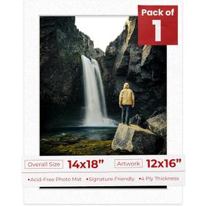 Poster Palooza 14x18 Mat Bevel Cut for 12x16 Photos - Acid Free Oyster Shell White Precut Matboard - For Pictures, Photos, Framing - 4-ply Thickness