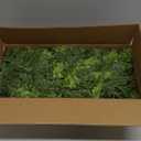 9ft Christmas Cedar Garland Artificial Realistic, Real Touch Greenery Garlands for Decoration, 2025 New Pine Garland for Mantle Table Fireplace Stairs Outdoor Indoor Christmas Decorations