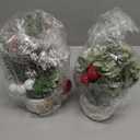 Small Mini Tabletop Christmas Tree,12" Artificial Little Potted for Christmas Decor, for Home Indoor Hliday Party Xmas Decor (Red/Green/White).