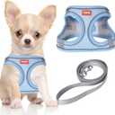 YIMEIS Dog Harness and Leash Set, No Pull Soft Mesh Pet Harness, Reflective Adjustable Puppy Vest for Small Medium Large Dogs, Cats (Greyblue, X-Small (Pack of 1)