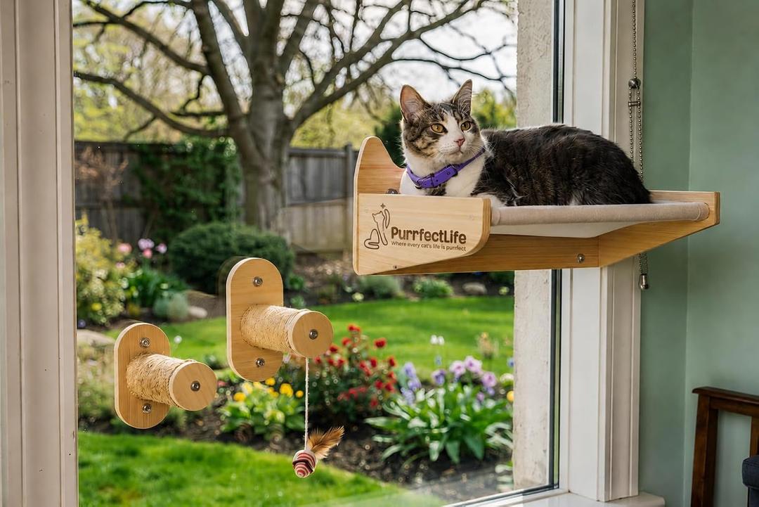 Cat Window Perch for Indoor Cats  2-in-1 Solid Wood Cat Hammock Window Seat & Wall Mount with 9 Suction Cups, Climbing Steps + Hanging Toy  Supports 40 lbs, Bird Watching & Sunbathing