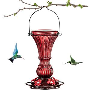 Glass Hummingbird Feeders Red Wild Bird Nectar Feeder for Outdoors Hanging Leak Proof 20 Ounces with 5 Feeding Ports, Decor Backyard