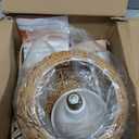 Bstrip Hanging Grow Lights for Indoor Plants, 18W Full Spectrum Plant Light, Boho Rattan Lantern Shade, 3800K Wall-Mounted Decorative Grow Light with 9.8FT Power Cord for Indoor Plant Growing, Flowers