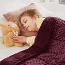 CuteKing Weighted Blanket - 40"x60" 10lbs Minky Dots Heavy Blanket with Glass Beads Soft Breathable for All-Season Summer Fall Winter Thick Comfort for Sleeping (21-Clare Red Bubble)