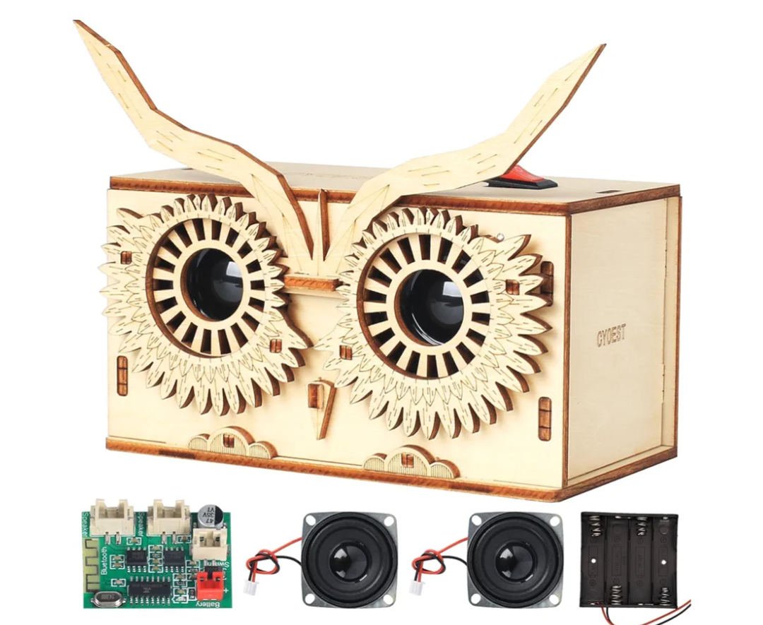 DIY Bluetooth Speaker Kit, Stem Projects for Kids Ages 8-12, Science Kits for Kids Age 12-14, STEM Learning Project, Science Gift for Boys Teens Age 10 11 12 13 14 15 16