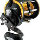 Daiwa Seagate Levelwind Conventional Reel SGTLW60H (One Size)