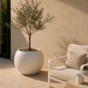 DEPLA LANE Marlo Fiberstone Round Planter, Matte Finishes (S, Cream White)
