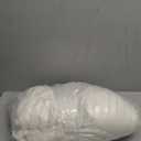 Bedsure GentleSoft White Throw Blanket for Couch - Cozy Soft Blankets for Women, Cute Small Fleece Throws for Girls, House Bedroom Decor Aesthetic Gift for Women, Off White, 50x70 Inches