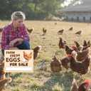 Lesnala 3pcs Double Sided Farm Fresh Eggs Sign Corrugated Plastic Mark with 6 Stakes for Indoor Outdoor Yard Business Supplies Home Decor 14.37 X 11.22inch