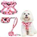 PUPTECK Dog Harness and Leash Set Small Sized, Step in No Pull Adjustable Puppy Cat Harness Reflective Pet Vest (XS (9-13lbs, Chest 14"-16"), #2 Pink(Strawberry Print))