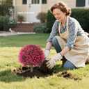 Faux Rose Boxwood Balls for Outdoor Planters Topiary Set of 2,UV Resistant Artificial Shrub Bushes Trees with Spike for Porch,Indoor,Garden