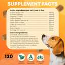 Dog Allergy Relief - 120 Count - Dog Allergy Chews Dog Itching Skin Relief for Seasonal Allergies - 10-in-1 Soft Dog Anti Itch Relief for Dogs Probiotics for Skin & Coat Supplement - Chicken Flavor