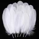 Holmgren White Craft Goose Feathers - 200pcs 5-7inch White Feathers for DIY Crafts Dream Catchers, Angel Wings and Wedding Party Christmas Home Decoration (White)