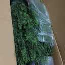 4FT Artificial Cedar Topiary Tree Lifelike Faux Cedar Pines Christmas Trees UV Rated Faux Shrubs Everygreen Plants for Front Porch Outdoor Decor Set of 2