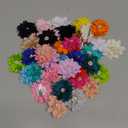 inSowni 20 Pack Large Chiffon Flower Alligator Hair Clips Big Fabric Lotus Flower Hair Barrettes with Rhinestone Clothes Brooch Pins Floral Bows Accessories for Baby Girls Toddlers Kids Teens Women, Set of 2