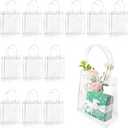 Woosuke 20 Pcs Clear Gift Bags with Handles, Small Plastic Clear Party Favor Swag Bag for Wedding, Birthday, Baby Shower, Business, Reusable Transparent Goodie Bags, 5.1 x 5.9 x 2.7''
