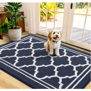 Buganda Indoor Door Mat, Dirt-Resistant and Absorbent Doormat, Anti-Slip, Low Profile Floor Mats for Inside Entryway, Front, and Back Door Entrance (48x32 Inches, Beige)