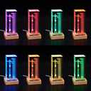 Collector's Gifts SpaceX Starship Crystal Lamp, 3D Laser-Etched Rocket Night Light, Ultimate Gift for Space Enthusiasts, Sci-Fi Fans & Mars Dreamers (Regular)