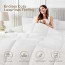 Sasttie Oversized King Comforter Set 7-Piece, Bed in a Bag, Ivory