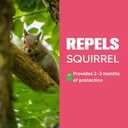 Squirrel Repellent for Yard & Garden, Peppermint Chipmunk Repellent, Squirrel Deterrent for Attic Garage/Bird Feeders, Keep Squirrels Away, Safe to Pets & Kids- 8 Pack